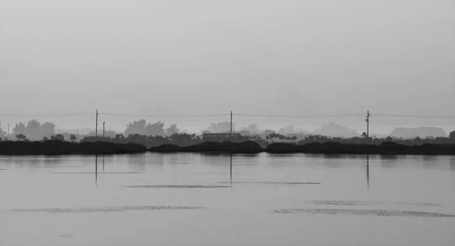 不愧是高达8.4分的电影佳作，果然精彩绝伦！