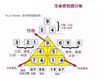 生命密码怎么算(生命密码解读1到9数字)