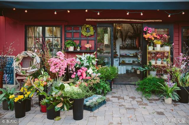 鲜花店是怎么样赚钱的？行业揭秘：花店的5种盈利模式！