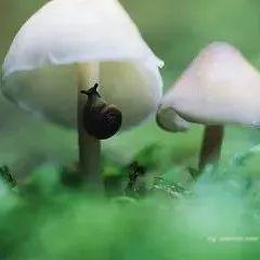 世界七大著名心理学效应,学会一个受益终身!
