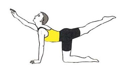 强制性脊柱炎日常恢复的锻炼方法