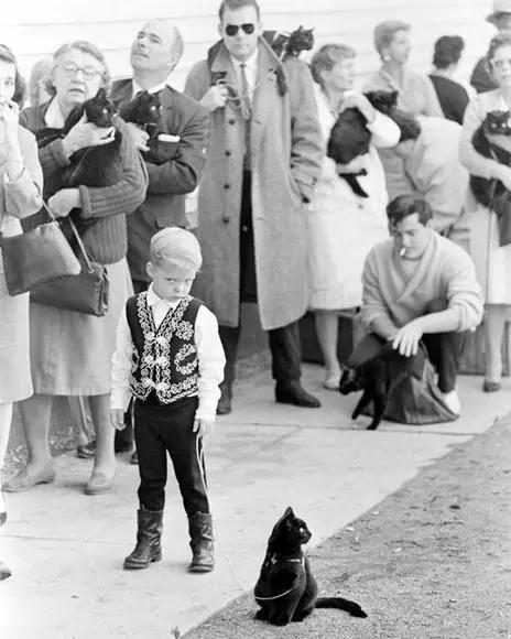 1961年好莱坞黑猫试镜会