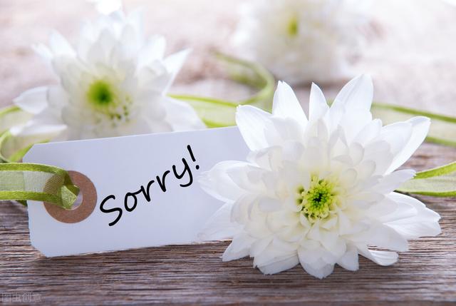 “我妈从不会跟我说对不起”：不会道歉的中国式父母，做错了什么