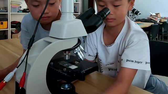 显微镜怎么用(显微镜怎么用视频教学)