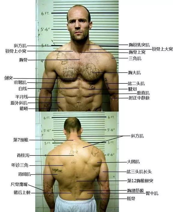 25歲當伴舞，46歲成好萊塢頭號猛男，51歲娶超模嬌妻，他憑什麼？