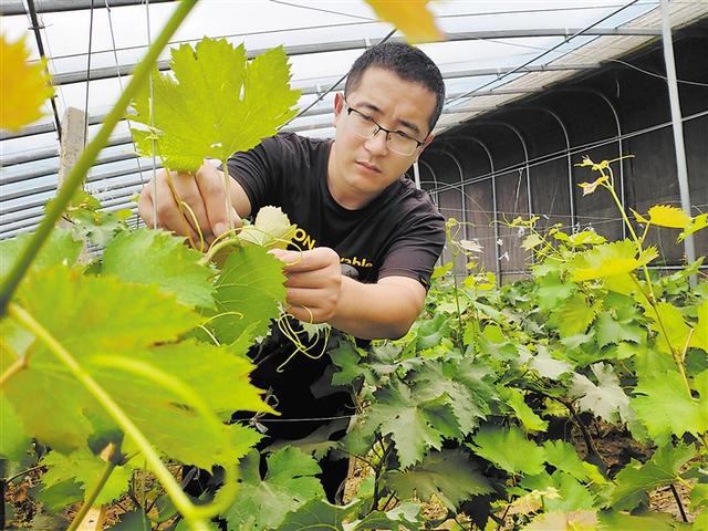 菏澤：單縣浮崗鎮：景美 業興 民樂