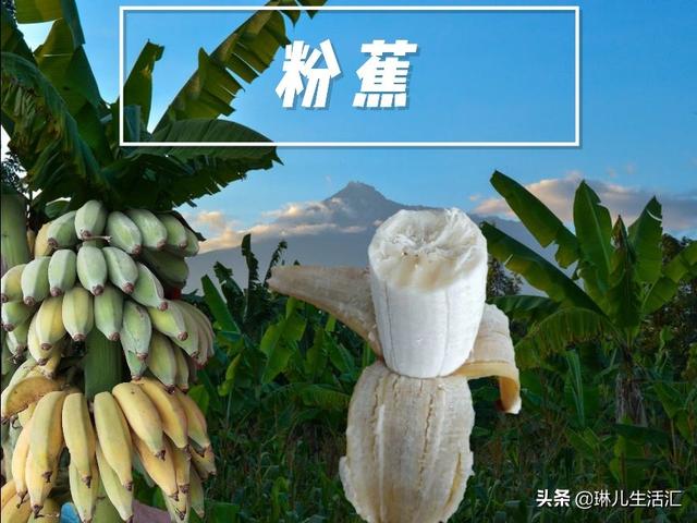 爱吃香蕉，你了解它们的品种吗？附赠最美味的吃法