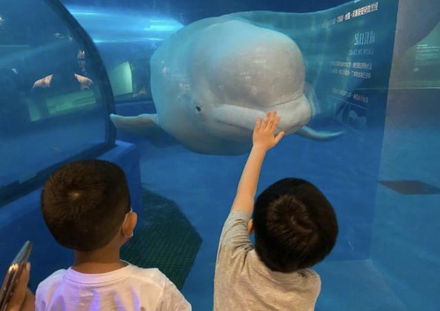 林志颖全家游水族馆，Kimi身高和爸爸只差一个头，一家五口超幸福