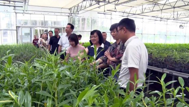 省调研组到丹寨县指导国家中医药健康旅游示范区创建工作