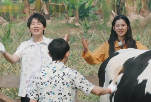 黄磊在综艺里表现是不妥，但不至于人品出问题