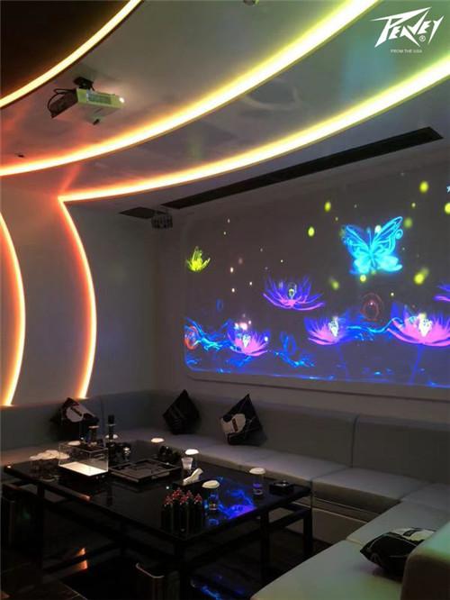 PEAVEY&TAGO PARTY KTV³KTVˣ˽˶ƣ