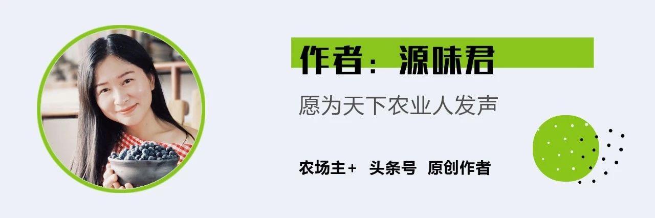 投资5亿在沙漠建“农业公园”，能否改写中国农业的未来？