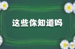 上海幼儿教师资格证报考条件(律师证报考条件)