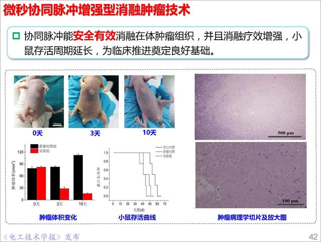 前沿技术报告｜重庆大学姚陈果教授：高压超短脉冲技术及应用