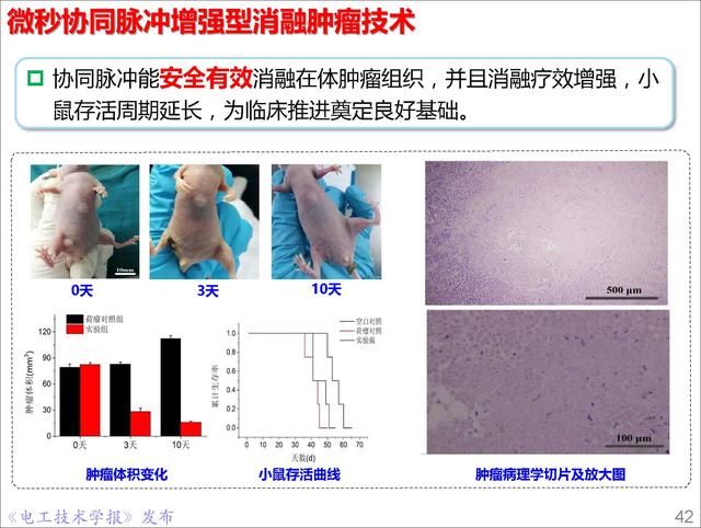 前沿技術(shù)報告｜重慶大學(xué)姚陳果教授：高壓超短脈沖技術(shù)及應(yīng)用