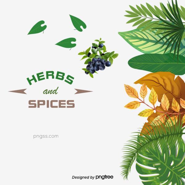 新鲜的药草和香料背景矢量素材png搜索网 精选免抠素材 透明png图片分享下载 Pngss Com