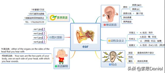 耳朵用英語怎麼讀音ear耳朵英語怎麼讀