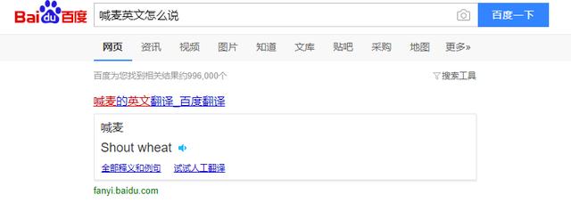 不吹不黑，爱玩喊麦的那群人到底是啥货色？