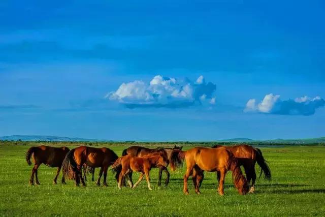 辽阔什么意思(广阔和辽阔的区别)