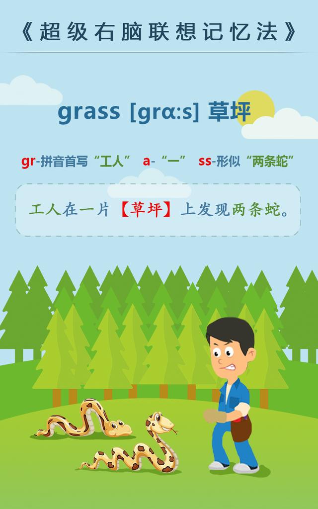 grass是什么意思(grass可数吗)