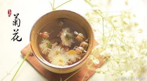 白菊花茶图片 菊花茶图片大全大图 茶百科