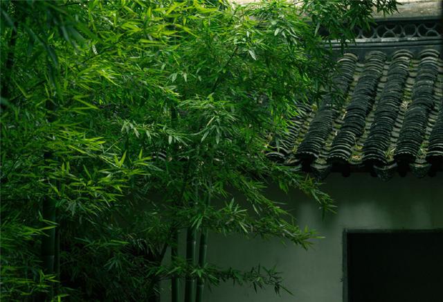 這般雋永詩意的中式古建，檐牙高啄，襲襲古風