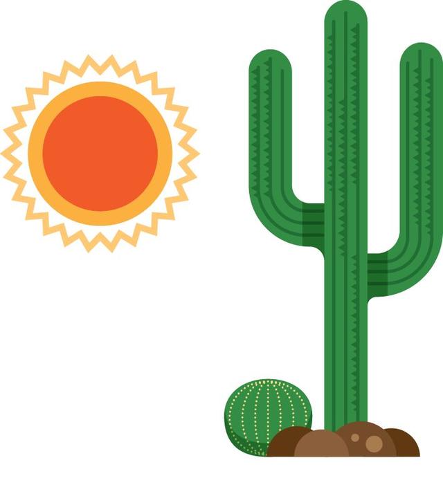 注意，秋老虎要来了！**切记“5禁忌”和“3必须”