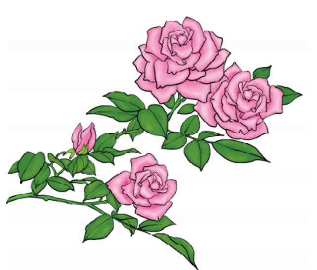 形容词什么的小刺