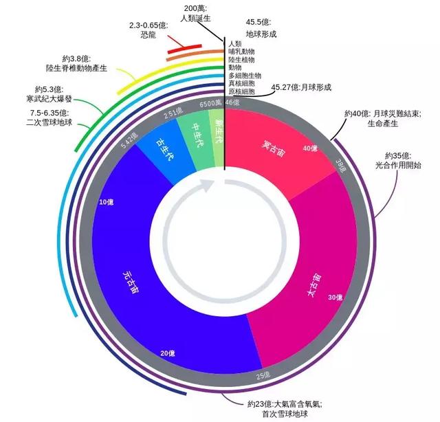 氨基酸密码子表图片