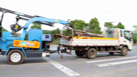 迎战台风“黑格比”倒伏树木，中能装备QTG300成道路清障利器
