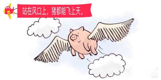 国内泳装第一品牌--浩沙国际惊天内幕