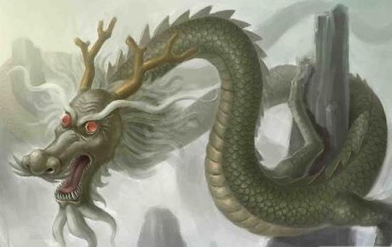 青龙白虎朱雀玄武包含了什么信息 爱游钓鱼网