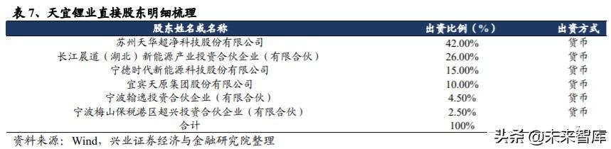 氢氧化锂行业专题报告：新玩家谁将率先突围