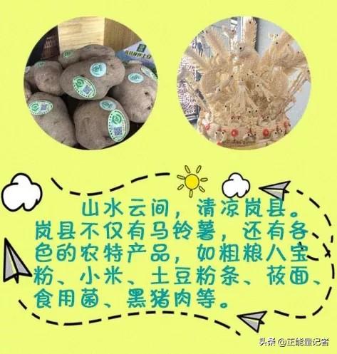 吕梁十三县（市、区）长化身网络主播直播带货