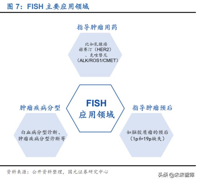 分子诊断行业深度研究及投资策略：精准医疗，看PCR还是NGS