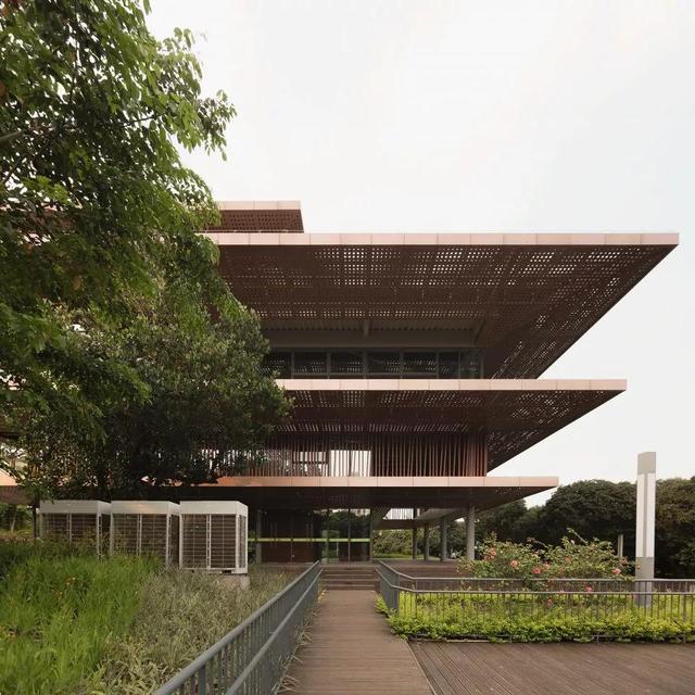 香蜜公园图书馆设计|绿地的宝藏，知识的大树