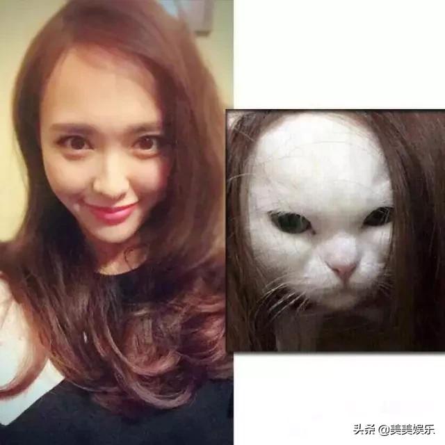 在线自夸？学员撞脸导师霸占热搜，他们竟这么