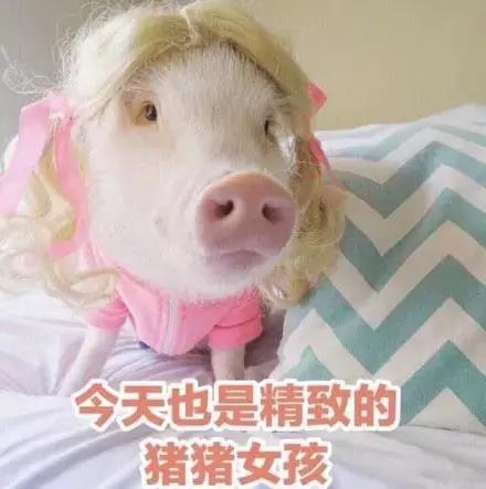 彩铅丨萌萌哒粉色小猪，精致的猪猪女孩都该学一下