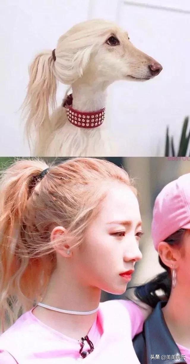 在线自夸？学员撞脸导师霸占热搜，他们竟这么