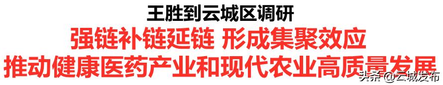 王胜：强链补链延链 形成集聚效应 推动健康医药产业和现代农业高质量发展