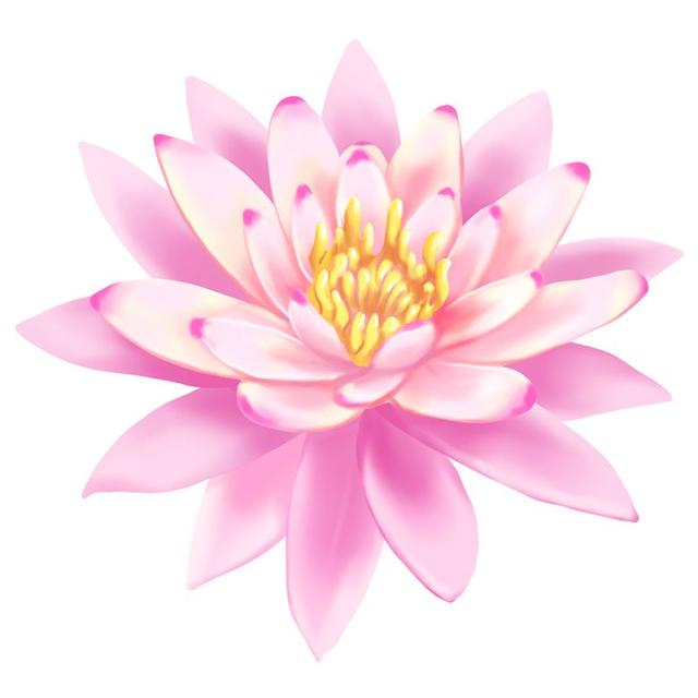 ��������������֮�������ж��