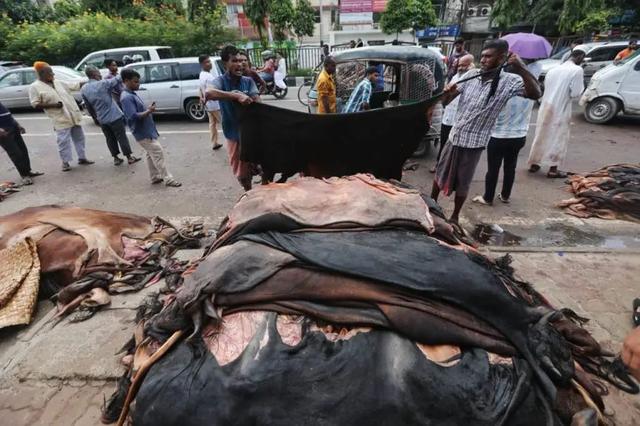 孟加拉国政府考虑出口生皮 稳定收购价格
