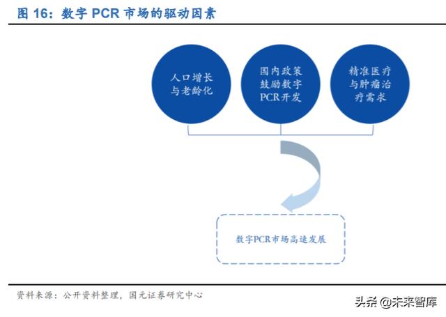 分子诊断行业深度研究及投资策略：精准医疗，看PCR还是NGS