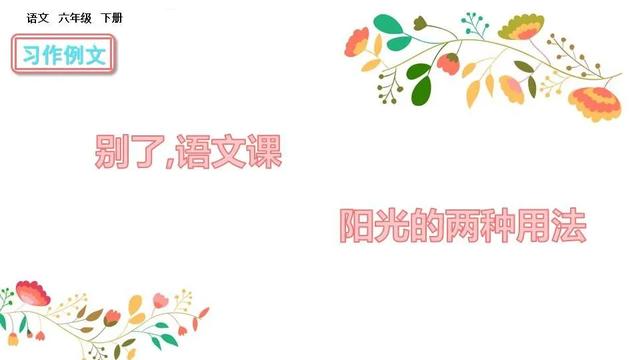 六年级语文下册习作例文 别了语文课 阳光的两种用法 分析ppt课件图片 跟我学语文