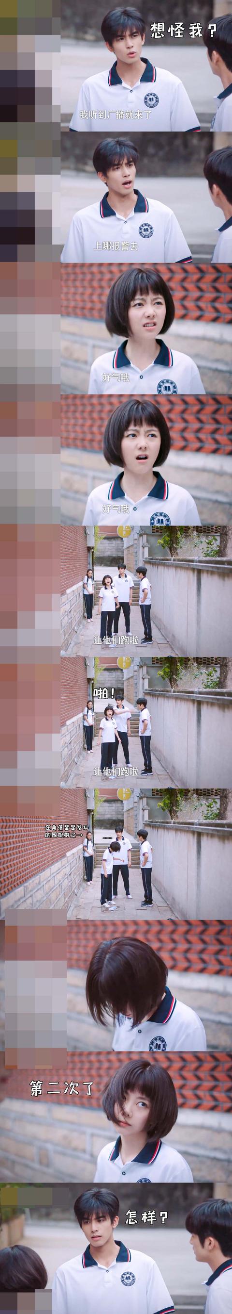 食物链|《以家人之名》兄妹食物链初见端倪 张新成是最底端的小可怜没跑了！