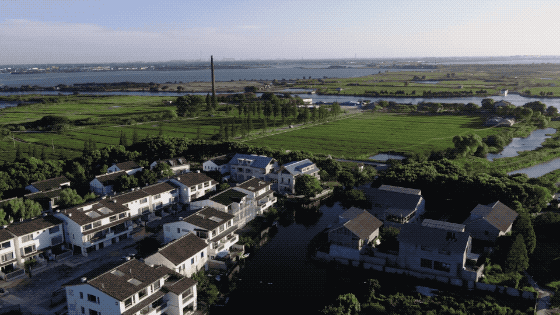 夫妻抵押掉上海独栋洋房，借1300万到乡下造房：我自在了