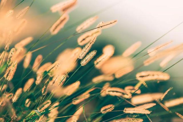 灯火阑珊处求类似成语 友邦知识网