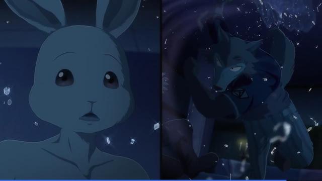 如何评价动漫 Beastars 动物狂想曲 中的女主角春 留学知识网