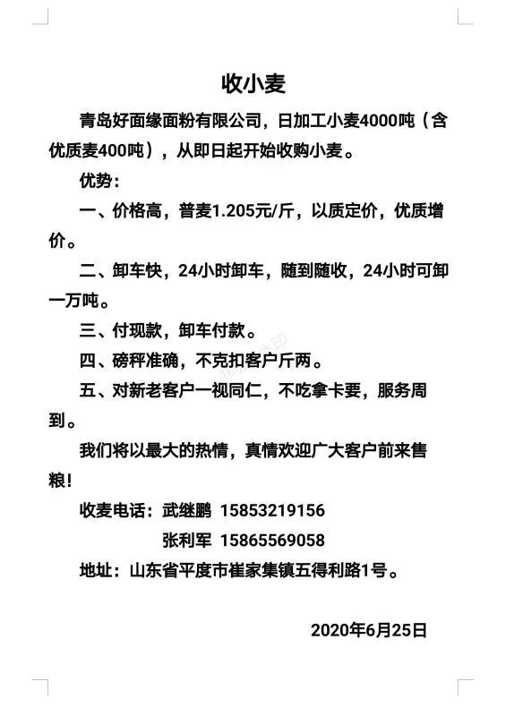 青岛好面缘面粉开业在即，大量收购小麦，增价