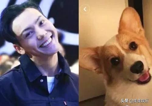 在线自夸？学员撞脸导师霸占热搜，他们竟这么